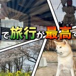 【古民家再生番外編】ふたりが再び訪れたかった場所へ行くことが出来ました  Restoration of old houses and country life