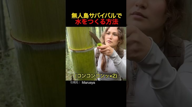 無人島サバイバルで水をつくる女性