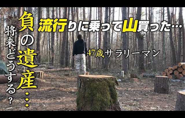 山の土地買った！負の遺産に建てた小屋にデッキを作る02！