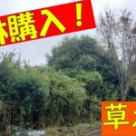 2025年、購入した山林の紹介です。素人が秘密基地のアジトをつくることを目指したプロジェクト！