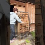 26日目【古民家再生日記】　#shorts #リノベ #伊豆大島 #古民家再生　#江戸時代 #古民家