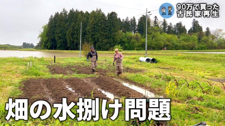 【古民家再生322】水が引かない！まるで田んぼな畑の水捌けをなんとかしよう  Restoration of old houses and country life