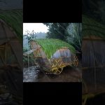 BUILDING A WARM AND COZY CARAVAN SHELTER IN HEAVY RAIN  #survival #camping #bushcraft #diy