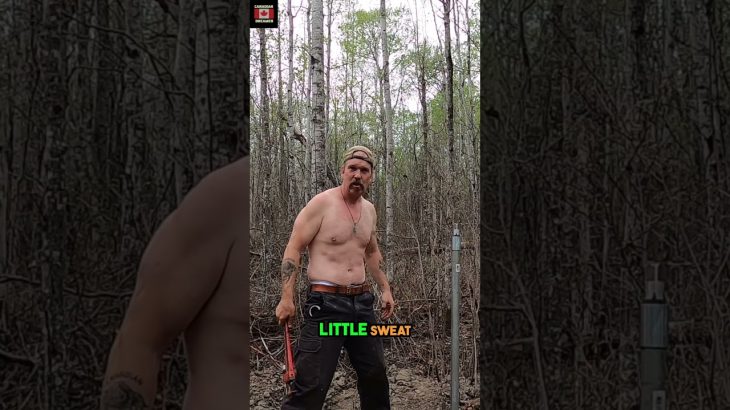 DIY Forest Well  From Sweat to Success & Refreshing Water!