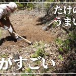 【空き家DIY】#06 筍天国、竹の根地獄…整地開始。切っても終わらない竹の恐怖がそこにありました