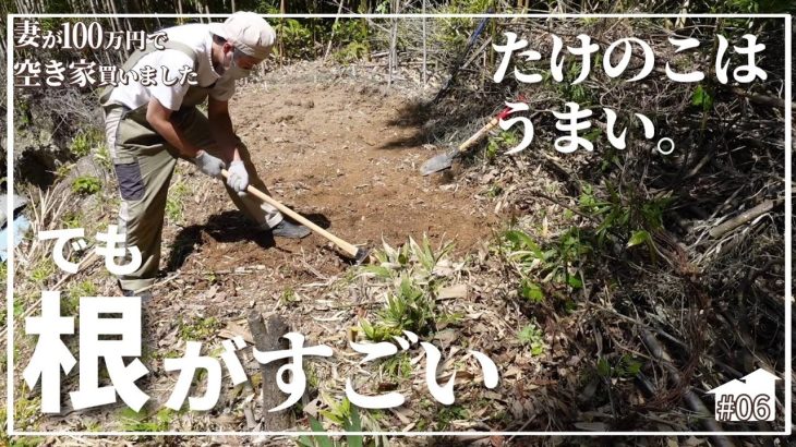 【空き家DIY】#06 筍天国、竹の根地獄…整地開始。切っても終わらない竹の恐怖がそこにありました