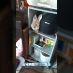 最近ミニ別荘使ってなくてシャッターを閉めてても砂埃だらけになっていた。日中は暑すぎるから。涼しい時間に薪ストーブをしようかな。