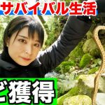 【100均サバイバル#3】ヘビと遭遇したので捕まえて食料にします