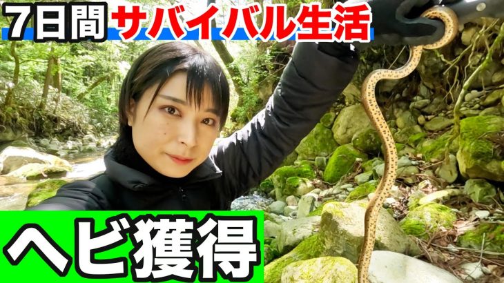 【100均サバイバル#3】ヘビと遭遇したので捕まえて食料にします
