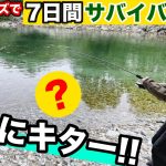 【100均サバイバル#5】3日目、この方法でついに釣れる…！？さらに…！【3日目 朝】