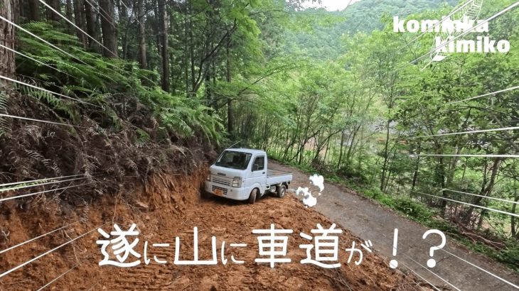 【古民家に住もう#251】薪が簡単に手に入る山道入口完成～二万坪の裏山開拓