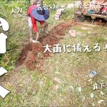「そんなに山を開拓して土砂崩れは大丈夫なの？」ひたすら人力で石積み、治水工事、草刈りの日々。#260
