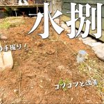 【治水工事】草刈り、畑の整備、まさかのシロアリが発生していました。#262