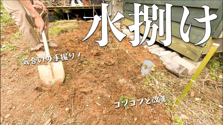 【治水工事】草刈り、畑の整備、まさかのシロアリが発生していました。#262