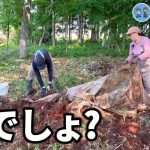 【古民家再生327】敷地内に大量のビニールが埋まってました  Restoration of old houses and country life
