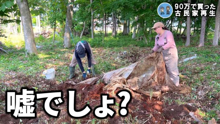 【古民家再生327】敷地内に大量のビニールが埋まってました  Restoration of old houses and country life