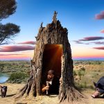 Building a secret dugout in the trunk of a large tree