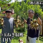 【古民家再生】浴室DIYいよいよタイルに突入か？｜家庭菜園無農薬の玉ねぎが収穫時を迎えました｜井戸周りのお手入れ｜お父ちゃんの台所姿