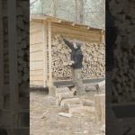 Living on my Grid Cabin p3 #survival #bushcraft #survival #shelter #camping #building #wood #diy