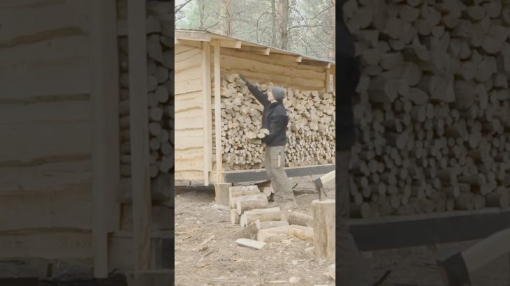 Living on my Grid Cabin p3 #survival #bushcraft #survival #shelter #camping #building #wood #diy