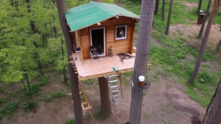 Man Builds DIY TREEHOUSE 16ft HIGH in the Forest | Start to Finish by @Wild_Hammer