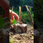 ✅️ Perfect IDEA for Survival in the wilderness#bushcraft#camping#lifehacks #survival #outdoors