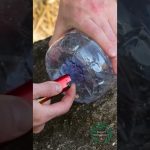 Unique DIY Hacks for Forest Survival Enthusiasts! 🏕️ #shorts #creativesurvival #bushcraft