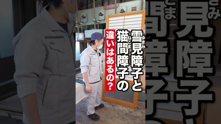 雪見障子と猫間障子の違いはあるのか職人に聞いてみた【障子戸通販の建具店】 #リフォーム #職人技 #古民家改装 #shorts