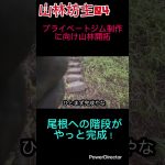 山林坊主04 #山林開拓 #プライベートジム制作#階段完成