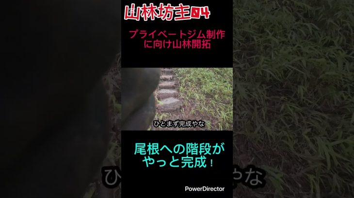 山林坊主04 #山林開拓 #プライベートジム制作#階段完成