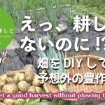 #047【妻が古民家DIY】えっ、耕してないのに!? DIYの畑が予想外の豊作に！！8ヶ月の記録を全公開