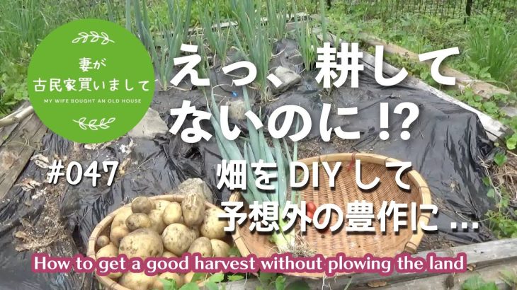 #047【妻が古民家DIY】えっ、耕してないのに!? DIYの畑が予想外の豊作に！！8ヶ月の記録を全公開