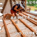 【床解体】小屋がシロアリに食べられています。#267