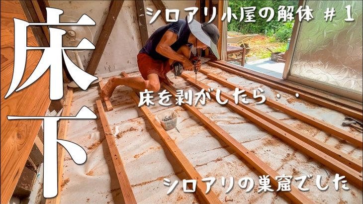 【床解体】小屋がシロアリに食べられています。#267