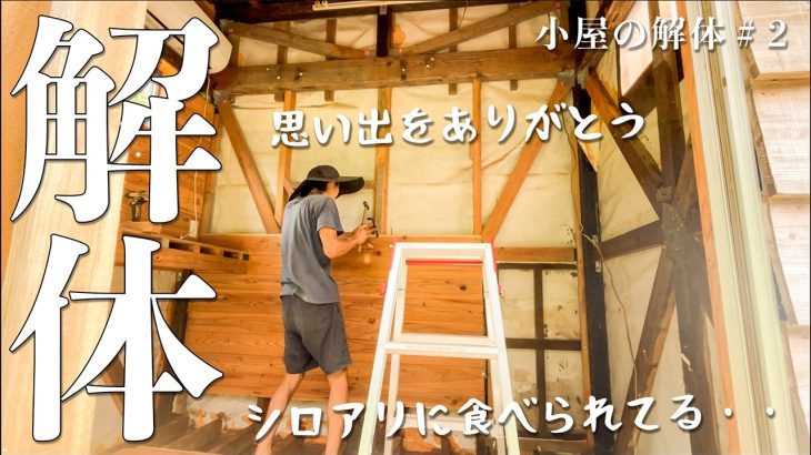 【スッキリ】壁が無くなって居抜き物件になりました。 #268