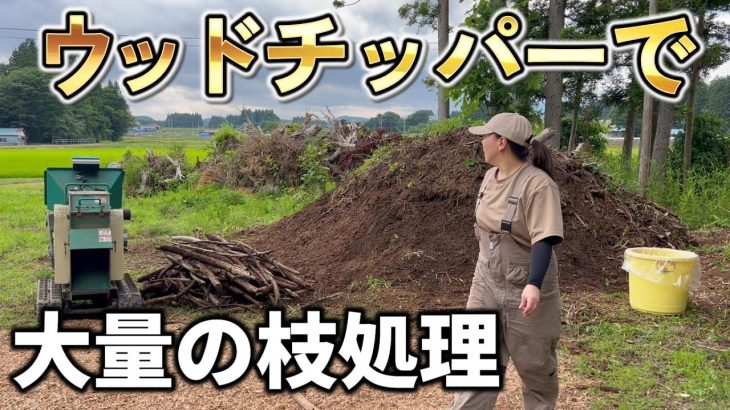 【樹木粉砕機】山になっている大量を枝をウッドチップに変えていく!【古民家再生334】
