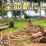 【汚庭片付け】ついに丸太の山が無くなりました! 【古民家再生337】
