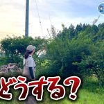 【汚庭整備】猛暑で荒れ果てた庭を本気で綺麗にします!  【古民家再生338】