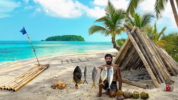 7 Days Solo Survival on Shipwreck Island (NO FOOD, NO WATER, NO SHELTER) Catch and Cook. Bushcraft