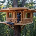 A Man Built a Large Tree House in the MOUNTAINS With His Own Hands