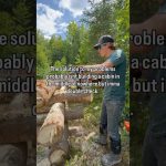 Built a cabin in the bush…just to see if it’d fix everything.#CabinBuild #OffGrid #BushLife #DIY