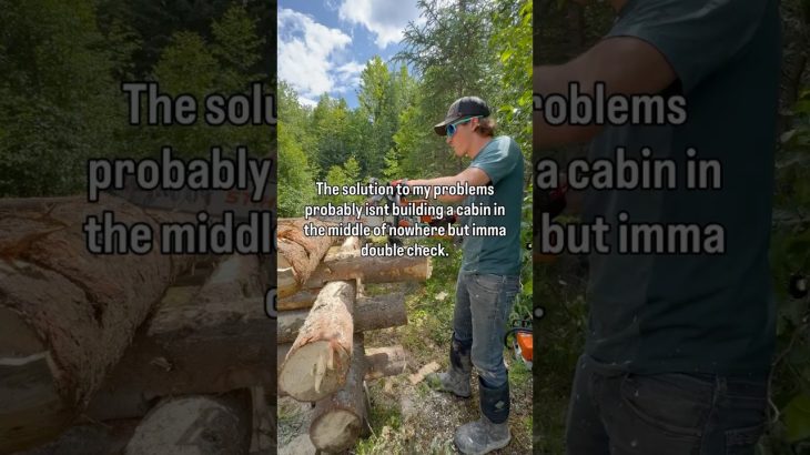 Built a cabin in the bush…just to see if it’d fix everything.#CabinBuild #OffGrid #BushLife #DIY