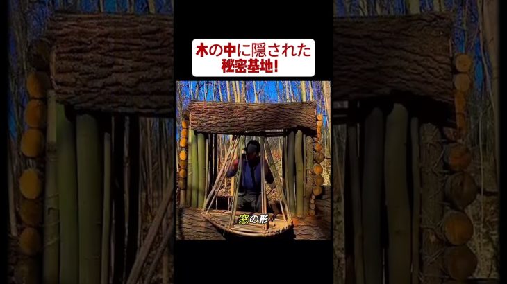 #サバイバル生活#森の中の家#手作りシェルター#匠の技#DIYチャレンジ