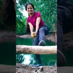 😱 Saw Stuck? This SURVIVAL skills Saved Our Camp! 🔧🔥 #bushcraft #survival  #lifehacks #camping
