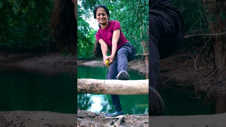 😱 Saw Stuck? This SURVIVAL skills Saved Our Camp! 🔧🔥 #bushcraft #survival  #lifehacks #camping