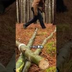 斧とノコギリだけで森の奥に「アジト」を建ててみた。