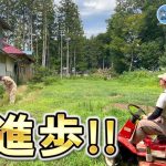 【乗用草刈り機】草刈りが楽しくてハイテンションになりました【古民家再生339】
