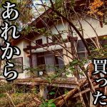 あれから5年たった､､､
