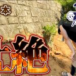 【壮絶】#77　ラスボス級の庭木を抜根！！全身の力を使い切った一日【古民家DIY】Epic Root Battle – Taking on a Boss-Level Tree