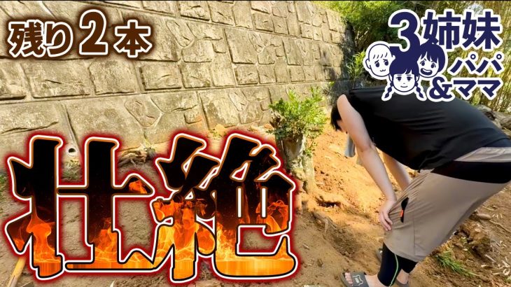 【壮絶】#77　ラスボス級の庭木を抜根！！全身の力を使い切った一日【古民家DIY】Epic Root Battle – Taking on a Boss-Level Tree